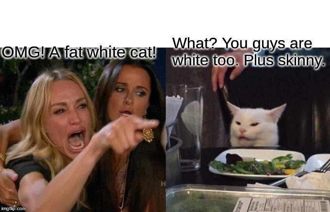 Woman Yelling At Cat | OMG! A fat white cat! What? You guys are white too. Plus skinny. | image tagged in memes,woman yelling at cat | made w/ Imgflip meme maker