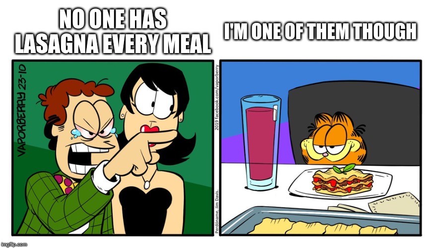 John Yelling At Garfield | NO ONE HAS LASAGNA EVERY MEAL; I'M ONE OF THEM THOUGH | image tagged in john yelling at garfield | made w/ Imgflip meme maker