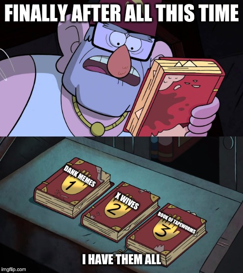 Image tagged in gravity falls,funny Imgflip