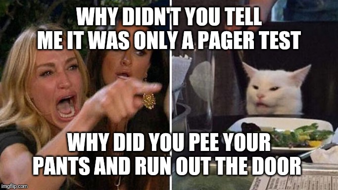Angry lady cat | WHY DIDN'T YOU TELL ME IT WAS ONLY A PAGER TEST; WHY DID YOU PEE YOUR PANTS AND RUN OUT THE DOOR | image tagged in angry lady cat | made w/ Imgflip meme maker