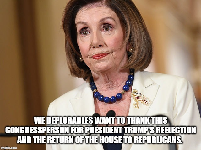 Pelosi Has Committed Political Suicide | WE DEPLORABLES WANT TO THANK THIS CONGRESSPERSON FOR PRESIDENT TRUMP'S REELECTION AND THE RETURN OF THE HOUSE TO REPUBLICANS. | image tagged in trump impeachment,sham,nancy pelosi,trump 2020 | made w/ Imgflip meme maker