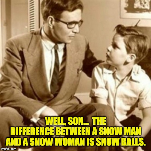 Father and Son | WELL, SON...  THE DIFFERENCE BETWEEN A SNOW MAN AND A SNOW WOMAN IS SNOW BALLS. | image tagged in father and son | made w/ Imgflip meme maker