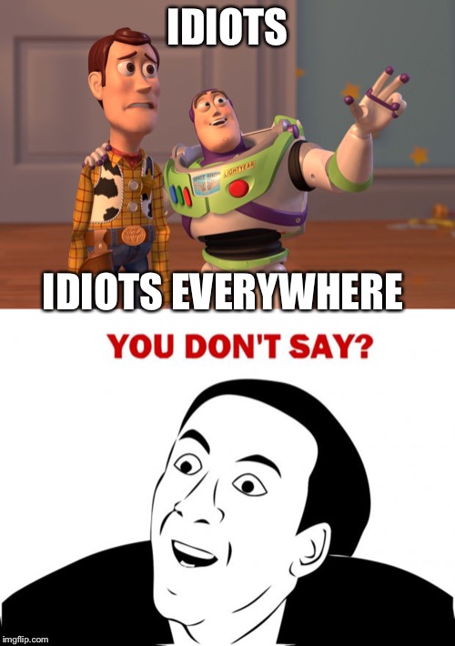 IDIOTS; IDIOTS EVERYWHERE | image tagged in memes,you don't say,x x everywhere | made w/ Imgflip meme maker