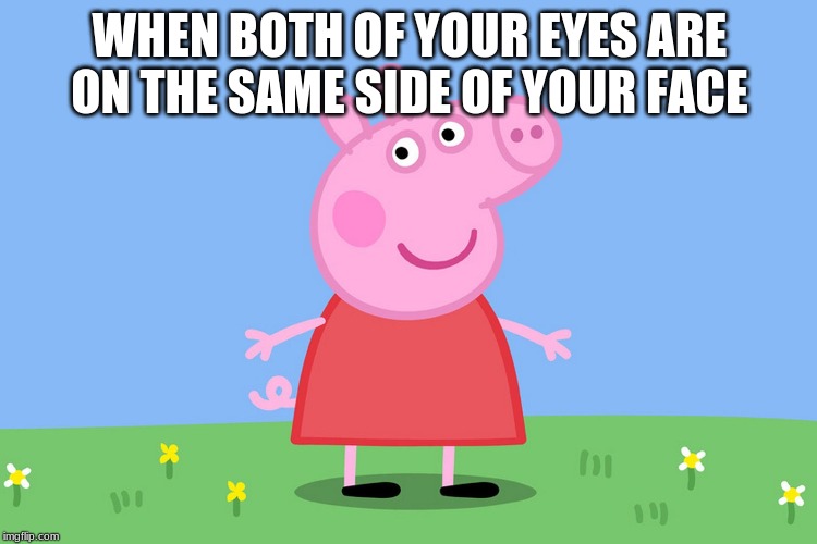 Peppa Pig | WHEN BOTH OF YOUR EYES ARE ON THE SAME SIDE OF YOUR FACE | image tagged in peppa pig | made w/ Imgflip meme maker