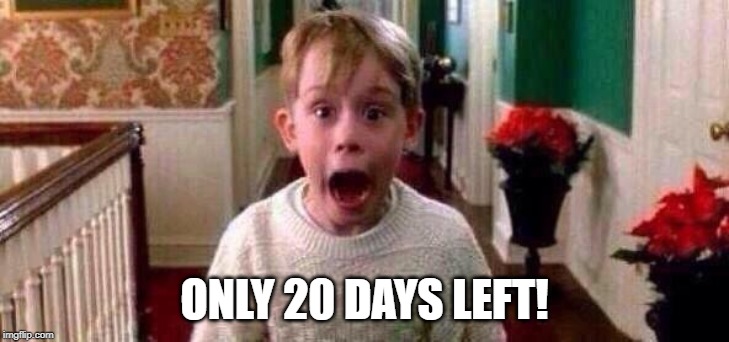 Christmas | ONLY 20 DAYS LEFT! | image tagged in christmas | made w/ Imgflip meme maker