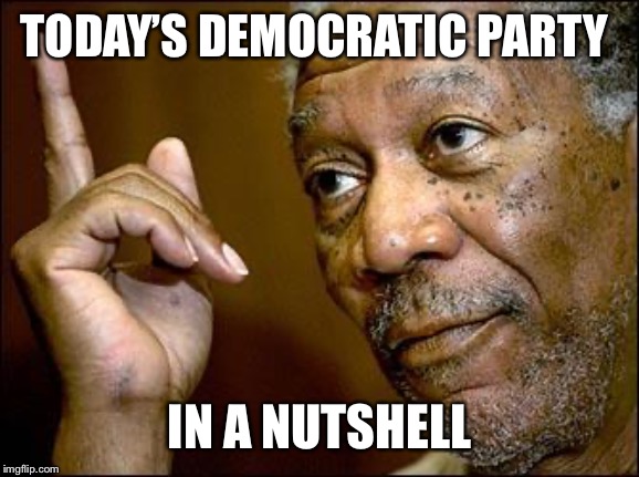 This Morgan Freeman | TODAY’S DEMOCRATIC PARTY IN A NUTSHELL | image tagged in this morgan freeman | made w/ Imgflip meme maker