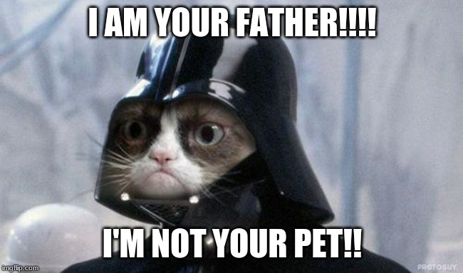 Grumpy Cat Star Wars | I AM YOUR FATHER!!!! I'M NOT YOUR PET!! | image tagged in memes,grumpy cat star wars,grumpy cat | made w/ Imgflip meme maker