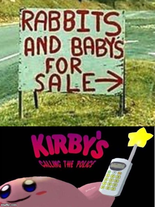 Right next to the safe surrender site. | image tagged in kirby's calling the police,rabbits and babies for sale sign,memes | made w/ Imgflip meme maker