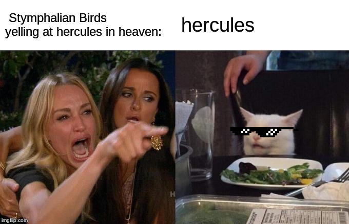 Woman Yelling At Cat | Stymphalian Birds yelling at hercules in heaven:; hercules | image tagged in memes,woman yelling at cat | made w/ Imgflip meme maker