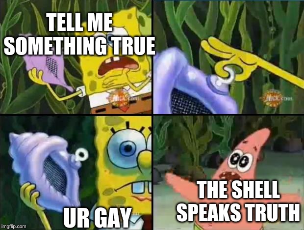 Spongebob | TELL ME SOMETHING TRUE; UR GAY; THE SHELL SPEAKS TRUTH | image tagged in spongebob | made w/ Imgflip meme maker