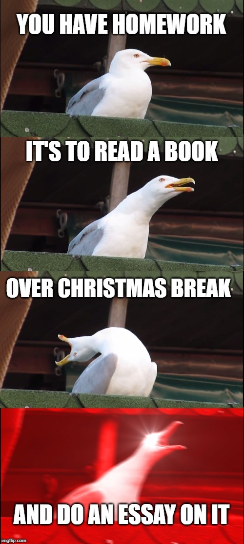 Inhaling Seagull Meme | YOU HAVE HOMEWORK; IT'S TO READ A BOOK; OVER CHRISTMAS BREAK; AND DO AN ESSAY ON IT | image tagged in memes,inhaling seagull | made w/ Imgflip meme maker