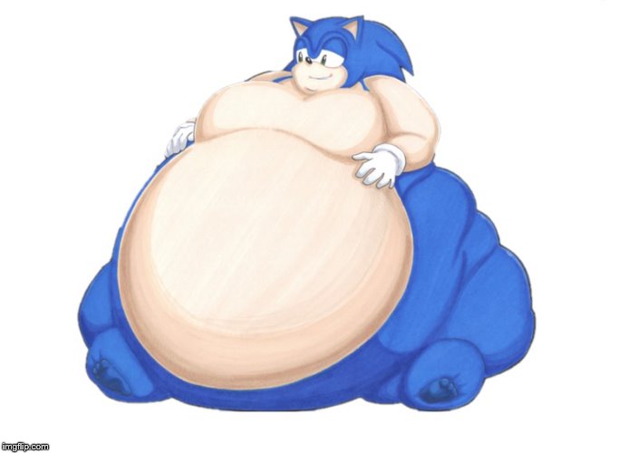 fat sonic 2 | image tagged in fat sonic 2,fat | made w/ Imgflip meme maker
