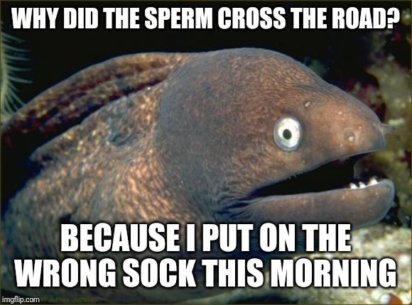 Bad Joke Eel Meme | WHY DID THE SPERM CROSS THE ROAD? BECAUSE I PUT ON THE WRONG SOCK THIS MORNING | image tagged in memes,bad joke eel | made w/ Imgflip meme maker