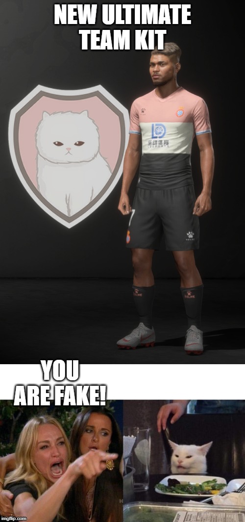 NEW ULTIMATE TEAM KIT; YOU ARE FAKE! | image tagged in memes,woman yelling at cat,fifa | made w/ Imgflip meme maker