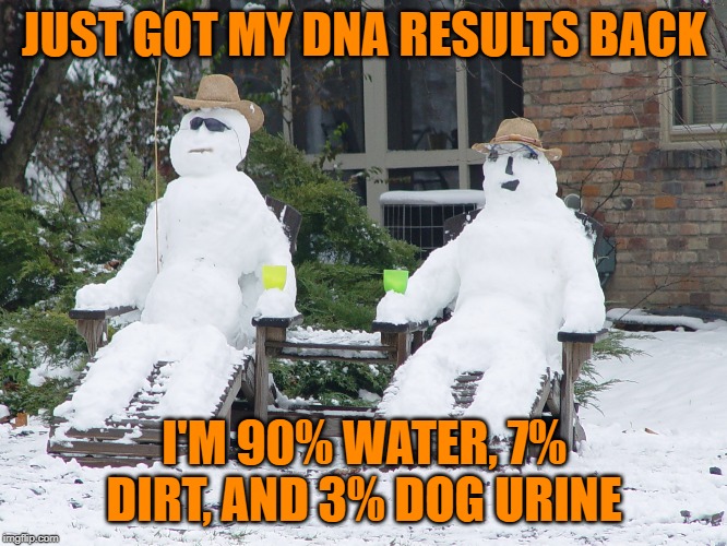 We are a sum of our parts | JUST GOT MY DNA RESULTS BACK; I'M 90% WATER, 7% DIRT, AND 3% DOG URINE | image tagged in snowmen | made w/ Imgflip meme maker