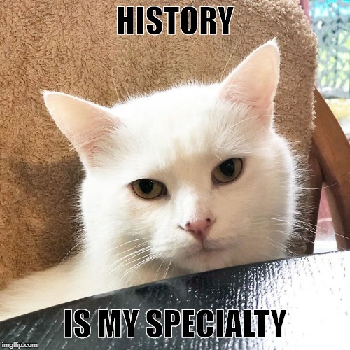 HISTORY; IS MY SPECIALTY | image tagged in casually waiting for food | made w/ Imgflip meme maker