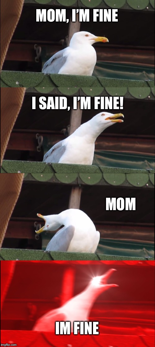 Inhaling Seagull Meme | MOM, I’M FINE; I SAID, I’M FINE! MOM; IM FINE | image tagged in memes,inhaling seagull | made w/ Imgflip meme maker