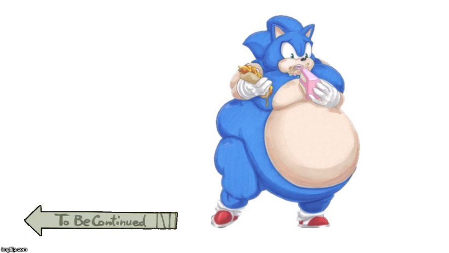 to be continued | image tagged in to be continued,fat sonic | made w/ Imgflip meme maker