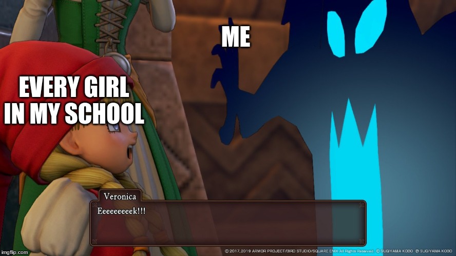 Dragon Quest 11 get jumped on | ME; EVERY GIRL IN MY SCHOOL | image tagged in dragon quest 11 get jumped on | made w/ Imgflip meme maker