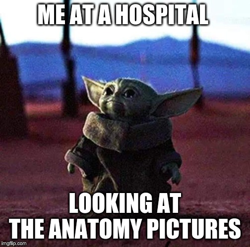 Baby Yoda | ME AT A HOSPITAL; LOOKING AT THE ANATOMY PICTURES | image tagged in baby yoda | made w/ Imgflip meme maker