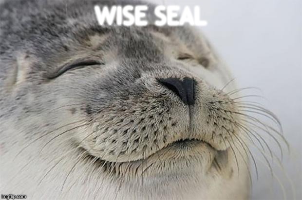 Satisfied Seal Meme | WISE SEAL | image tagged in memes,satisfied seal | made w/ Imgflip meme maker