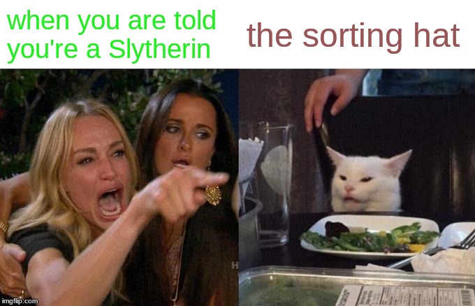 Woman Yelling At Cat | when you are told you're a Slytherin; the sorting hat | image tagged in memes,woman yelling at cat | made w/ Imgflip meme maker