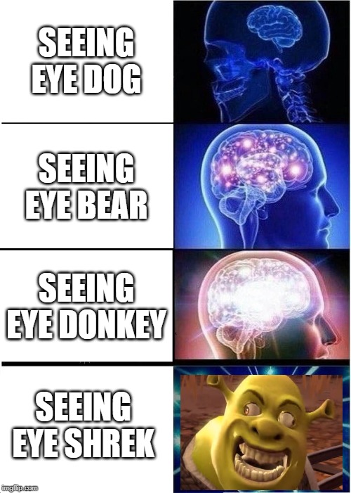 Expanding Brain Meme | SEEING EYE DOG; SEEING EYE BEAR; SEEING EYE DONKEY; SEEING EYE SHREK | image tagged in memes,expanding brain | made w/ Imgflip meme maker