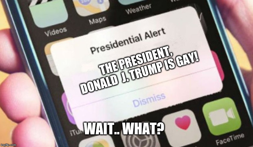 Presidential Alert | THE PRESIDENT, DONALD  J. TRUMP IS GAY! WAIT.. WHAT? | image tagged in memes,presidential alert | made w/ Imgflip meme maker
