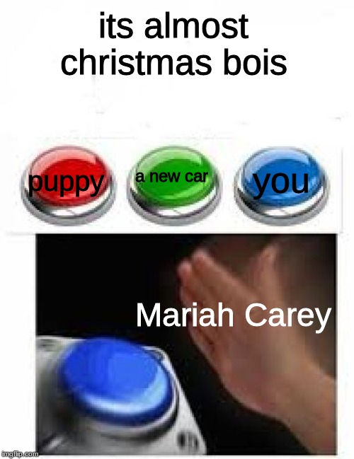  its almost christmas bois; you; a new car; puppy; Mariah Carey | image tagged in blank nut button with three buttons and text boxes | made w/ Imgflip meme maker