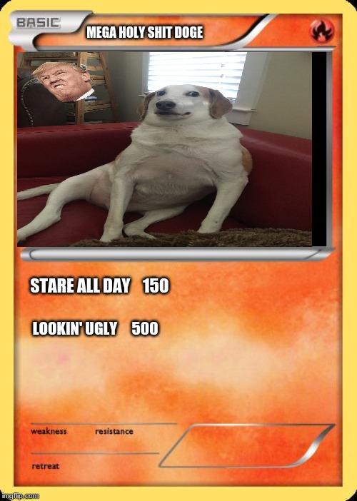 Blank Pokemon Card | MEGA HOLY SHIT DOGE; STARE ALL DAY    150; LOOKIN' UGLY     500 | image tagged in blank pokemon card | made w/ Imgflip meme maker
