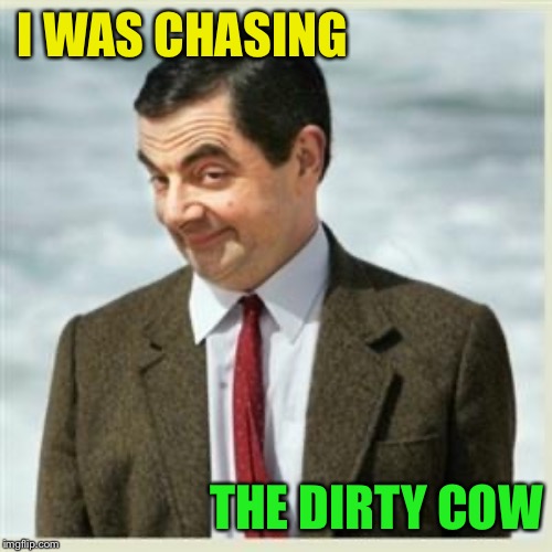 Mr Bean Smirk | I WAS CHASING THE DIRTY COW | image tagged in mr bean smirk | made w/ Imgflip meme maker