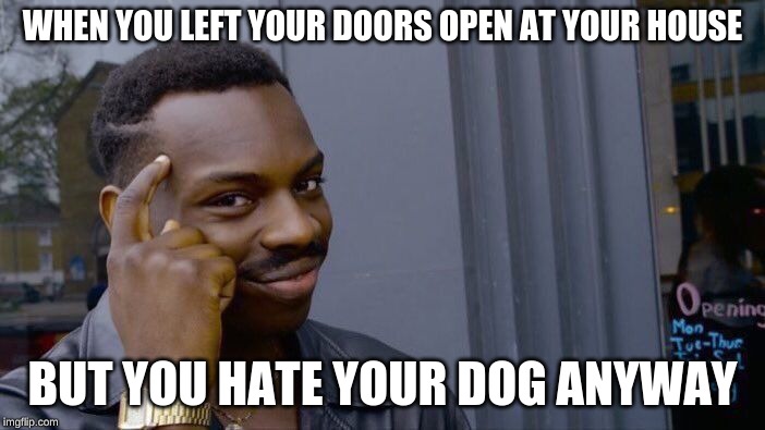 Roll Safe Think About It Meme | WHEN YOU LEFT YOUR DOORS OPEN AT YOUR HOUSE; BUT YOU HATE YOUR DOG ANYWAY | image tagged in memes,roll safe think about it | made w/ Imgflip meme maker
