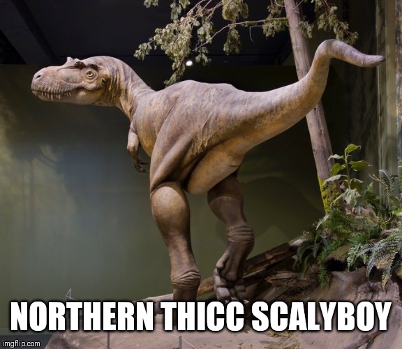 NORTHERN THICC SCALYBOY | image tagged in dinosaur | made w/ Imgflip meme maker