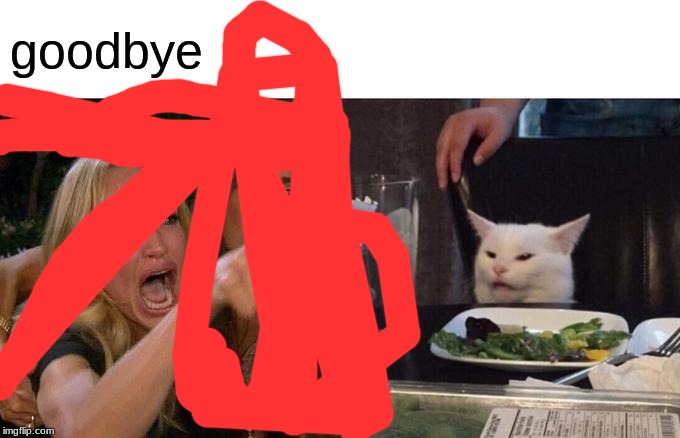 Woman Yelling At Cat | goodbye | image tagged in memes,woman yelling at cat | made w/ Imgflip meme maker