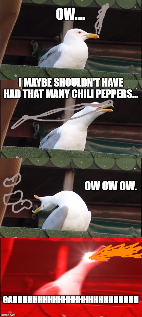 Inhaling Seagull | OW.... I MAYBE SHOULDN'T HAVE HAD THAT MANY CHILI PEPPERS... OW OW OW. GAHHHHHHHHHHHHHHHHHHHHHHHHH | image tagged in memes,inhaling seagull | made w/ Imgflip meme maker