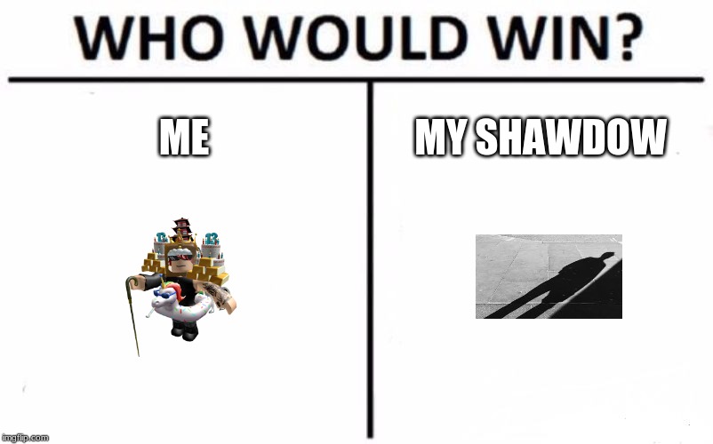 Who Would Win? | ME; MY SHAWDOW | image tagged in memes,who would win | made w/ Imgflip meme maker