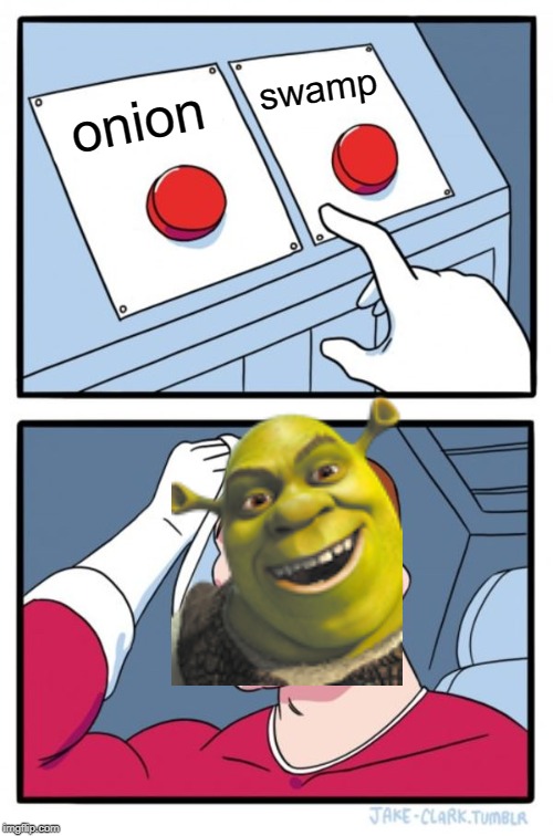 Two Buttons Meme | swamp; onion | image tagged in memes,onion,two buttons,shrek,onions,swamp | made w/ Imgflip meme maker