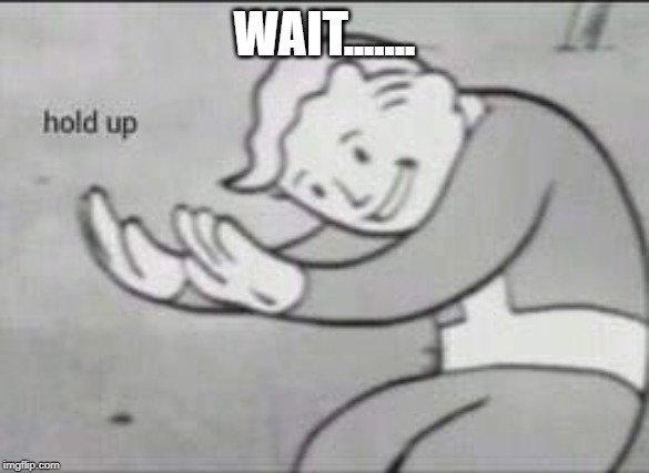Fallout Hold Up | WAIT....... | image tagged in fallout hold up | made w/ Imgflip meme maker