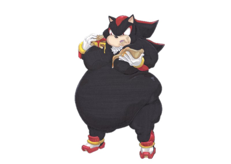 fat shadow 1 Blank Meme Template