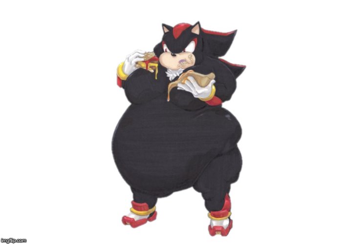 fat shadow 1 | image tagged in fat shadow 1 | made w/ Imgflip meme maker
