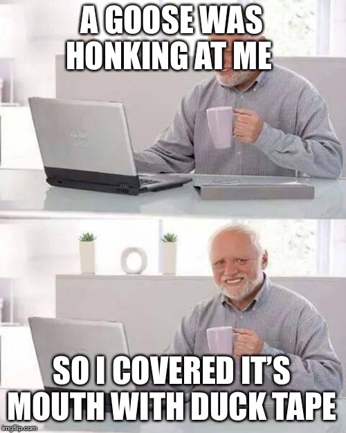 Hide the Pain Harold Meme | A GOOSE WAS HONKING AT ME; SO I COVERED IT’S MOUTH WITH DUCK TAPE | image tagged in memes,hide the pain harold | made w/ Imgflip meme maker