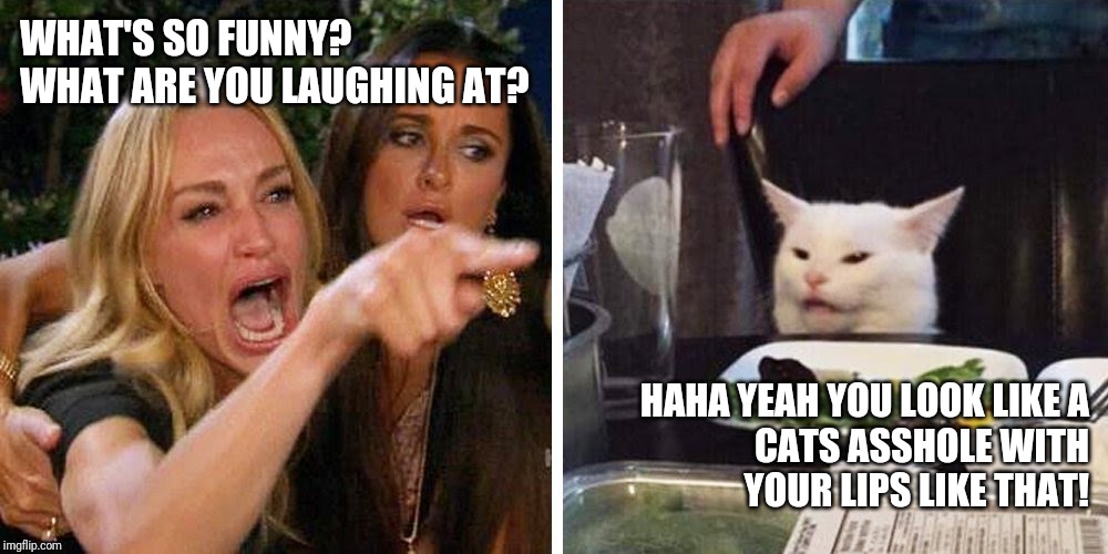 Smudge the cat | WHAT'S SO FUNNY?
WHAT ARE YOU LAUGHING AT? HAHA YEAH YOU LOOK LIKE A
CATS ASSHOLE WITH
 YOUR LIPS LIKE THAT! | image tagged in smudge the cat | made w/ Imgflip meme maker