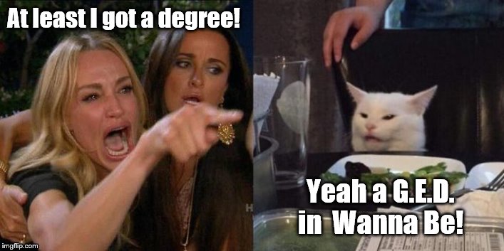 Woman Screaming at Cat | At least I got a degree! Yeah a G.E.D. in  Wanna Be! | image tagged in woman screaming at cat | made w/ Imgflip meme maker