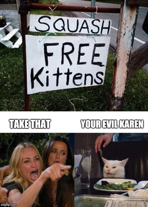 YOUR EVIL KAREN; TAKE THAT | image tagged in memes,woman yelling at cat | made w/ Imgflip meme maker