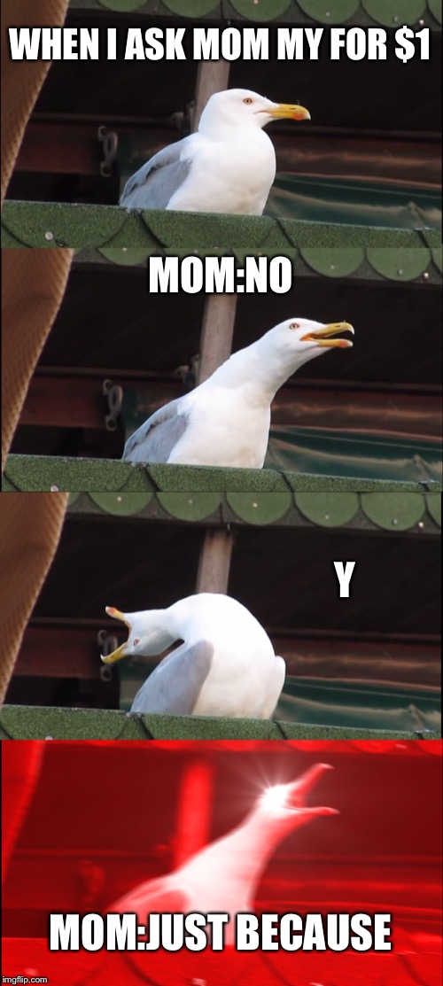 Inhaling Seagull Meme | WHEN I ASK MOM MY FOR $1; MOM:NO; Y; MOM:JUST BECAUSE | image tagged in memes,inhaling seagull | made w/ Imgflip meme maker