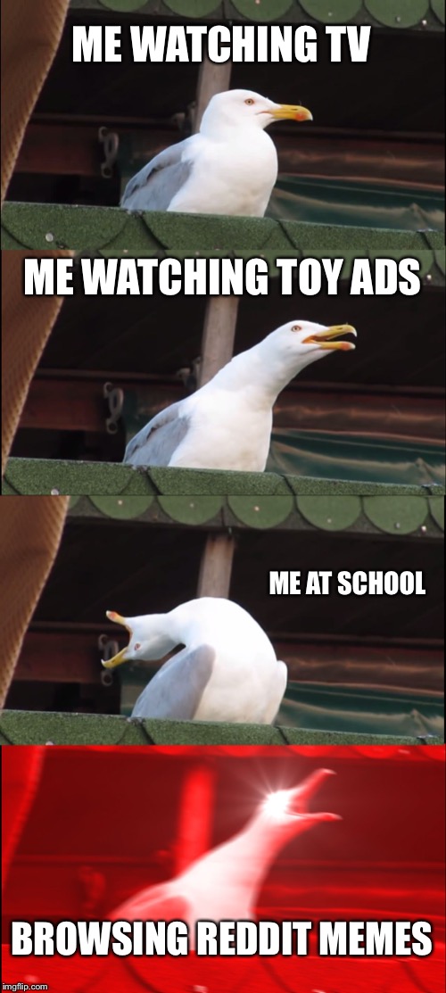 Inhaling Seagull | ME WATCHING TV; ME WATCHING TOY ADS; ME AT SCHOOL; BROWSING REDDIT MEMES | image tagged in memes,inhaling seagull | made w/ Imgflip meme maker