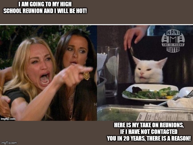 white cat table | I AM GOING TO MY HIGH SCHOOL REUNION AND I WILL BE HOT! HERE IS MY TAKE ON REUNIONS, IF I HAVE NOT CONTACTED YOU IN 20 YEARS, THERE IS A REASON! | image tagged in white cat table | made w/ Imgflip meme maker