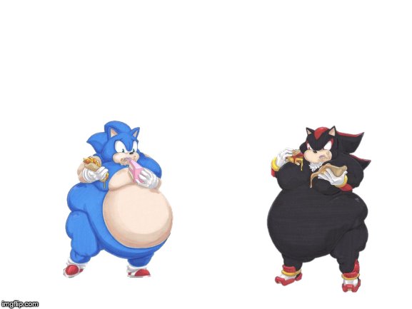 image tagged in fat sonic,fat shadow | made w/ Imgflip meme maker