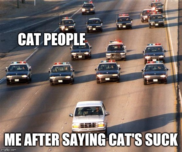 OJ Simpson Police Chase | CAT PEOPLE; ME AFTER SAYING CAT'S SUCK | image tagged in oj simpson police chase | made w/ Imgflip meme maker
