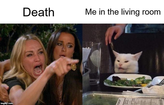 Woman Yelling At Cat | Death; Me in the living room | image tagged in memes,woman yelling at cat | made w/ Imgflip meme maker